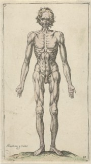 Study of a naked man, Pieter Feddes van Harlingen, 1614