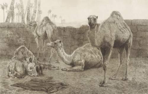 Camels, August Le Gras, 1886