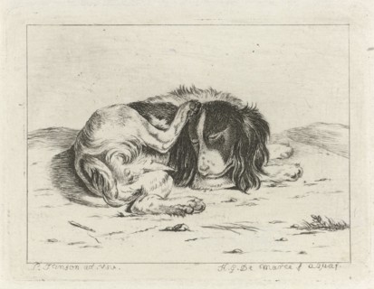 Sleeping dog, Hendrik Godart de Marée, 1752 - 1783