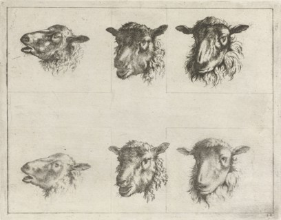 Study Sheet with six sheep ', Johannes Janson, 1761 - 1784