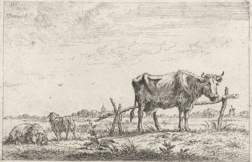 Pasture with cows and sheep, print maker: Johannes Janson, 1761 - 1784