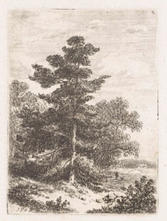 Landscape with a fir, print maker: Johannes Pieter van Wisselingh, 1830 - 1878