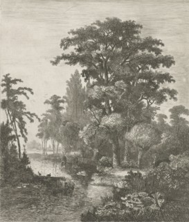 forest scene with two ducks nesting in a river, Hermanus Jan Hendrik van Rijkelijkhuysen, 1861