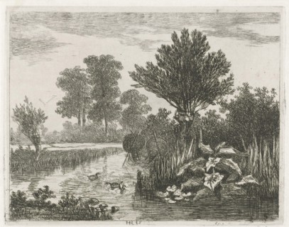 Ducks in a ditch, Hermanus Jan Hendrik van Rijkelijkhuysen, 1823 - 1883