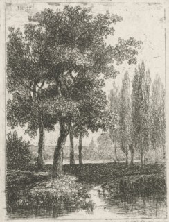 Landscape with brook and poplars, Hermanus Jan Hendrik van Rijkelijkhuysen, 1823-1883