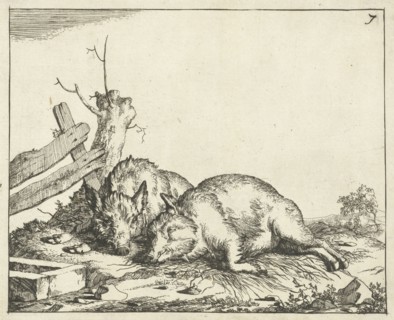Two pigs lying near a fence, Marcus de Bye, Paulus Potter, 1657 - c. 1677