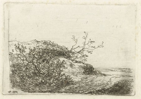 Dune landscape with bushes, Andreas Schelfhout, 1802 - 1870