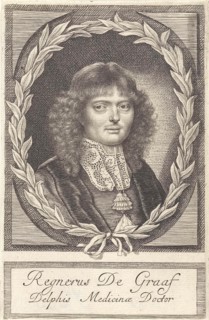 Portrait of Reinier de Graaf, Anna Maria van Schurman, 1666 - 1673