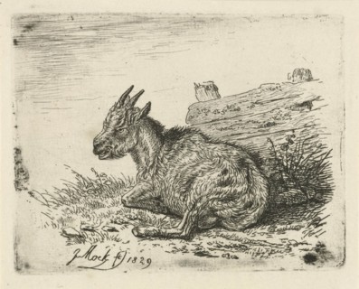 Lying kid at a fence, print maker: Johannes Mock, 1829