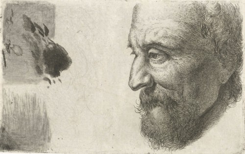 Face of an old man in profile, Johannes Mock, 1810 - 1884