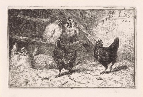 Cock and five chickens in a henhouse, two of them perching, two black chickens scratching around,