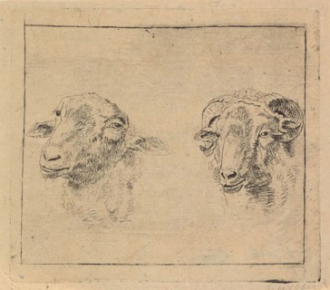 Head of a ram and head of a sheep, Carel Webbers, 1786