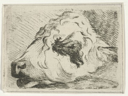 Head of a calf, in profile, resting on a beam, Hermanus Fock, 1781 - 1822