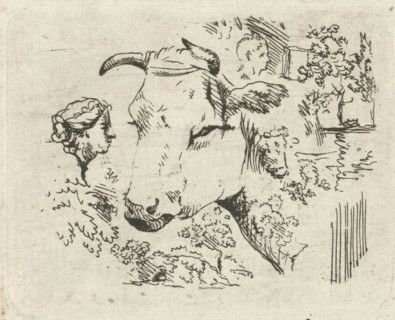 Study Sheet with cow's head, Hermanus Fock, 1781 - 1822