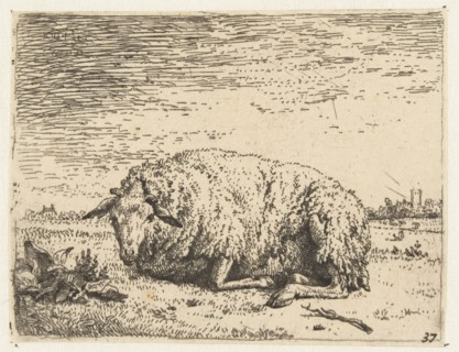 Resting sheep, Karel Dujardin, 1655