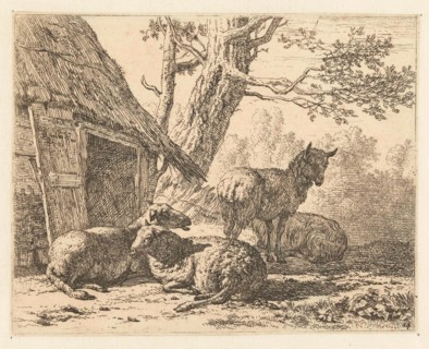 Four sheep, Karel Dujardin, 1658