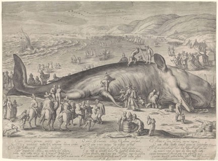 Whale stranded near Berckhey, 1598, Jacob Matham, Hendrick Goltzius, Theodorus Schrevelius, 1598
