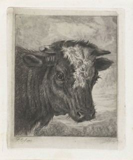 Head of a cow with white kol, Jacobus Cornelis Gaal, 1852