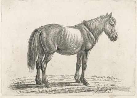 Single horse right, Johannes Mock, 1828