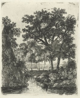 Wooded area with streams, Hermanus Jan Hendrik van Rijkelijkhuysen, 1823 - 1883