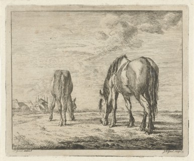 Two grazing horses, Jacobus Cornelis Gaal 1851, print maker: Jacobus Cornelis Gaal, Pieter Gaal,