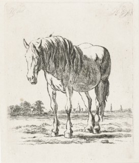 Single white horse, Jacobus Cornelis Gaal, 1860