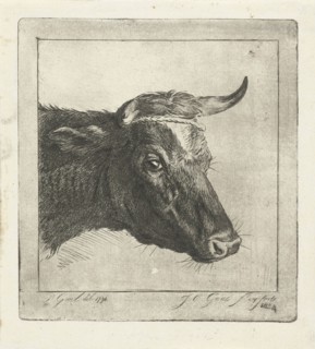 Head of a cow with rope to the horns, Jacobus Cornelis Gaal, 1854