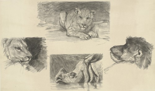 Reclining lion, monkey face, rhino, lion, print maker: August Allebé, Dating 1848 - 1927