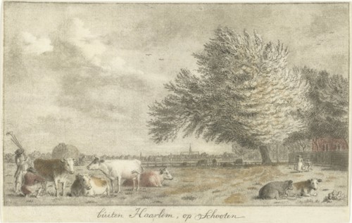 Cows in a pasture, print maker: Cornelis van Noorde, 1766