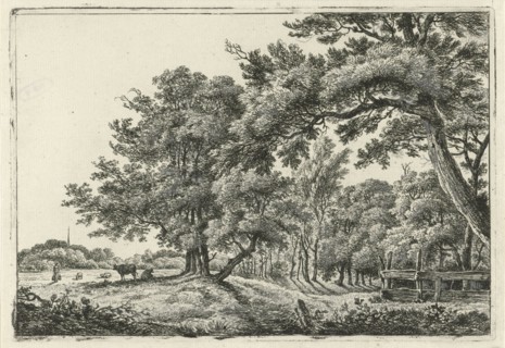 Landscape with two cows in the shade, print maker: Hermanus Fock, 1781 - 1822