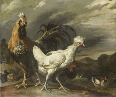 Cock, a Hen and other Poultry, Pieter Jansz. van Ruyven, 1670 - 1690