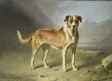 Saint Bernard Dog, Bernard te Gempt, c. 1850 - c. 1879