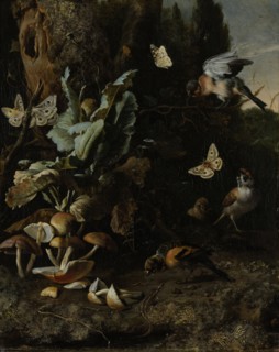 Animals and Plants, Melchior d' Hondecoeter, c. 1668