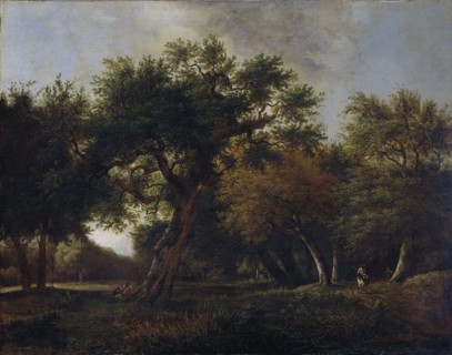 View of a Forest, Jan van Kessel (1641-1680), 1660 - 1680