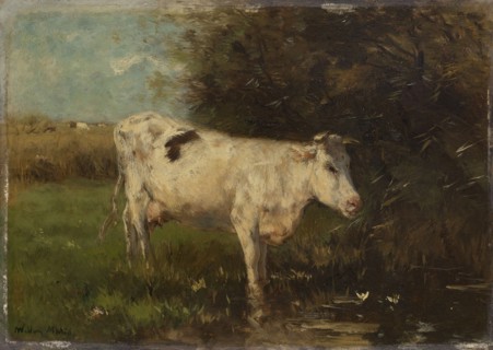White Cow, Willem Maris, c. 1880 - c. 1910