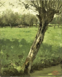 Willow, Geo Poggenbeek, c. 1873 - c. 1903