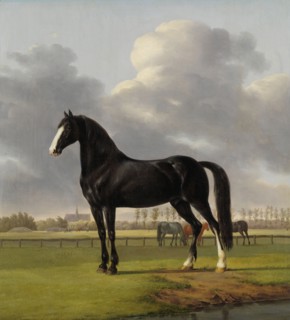 Adriaan van der Hoopâ€ôs Trotter â€òDe Vluggeâ€ô, The Fast One in a Meadow, Anthony Oberman, 1828