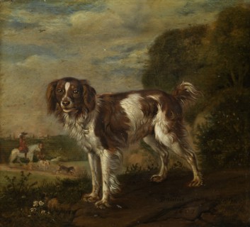 A spaniel, Paulus Potter, 1653