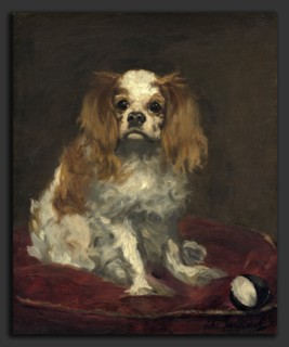Edouard Manet (French, 1832 - 1883), A King Charles Spaniel, c. 1866, oil on linen
