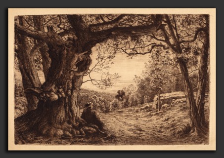 Henry Farrer, On The Hillside, American, 1843 - 1903, 1880, etching