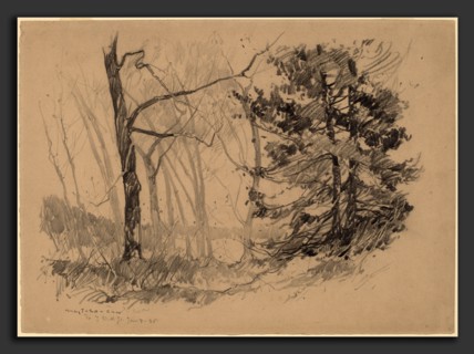 Charles Herbert Woodbury, Wood Interior, American, 1864 - 1940, 1920, graphite