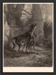 Karl Bodmer, Biche et Faon, Swiss, 1809 - 1893, lithograph