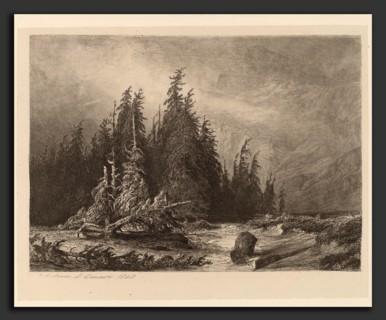 Alexandre Calame, Mountain PInes, Swiss, 1810 - 1864, 1840, etching on chine collé