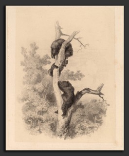 Karl Bodmer, Les ours, Swiss, 1809 - 1893, etching