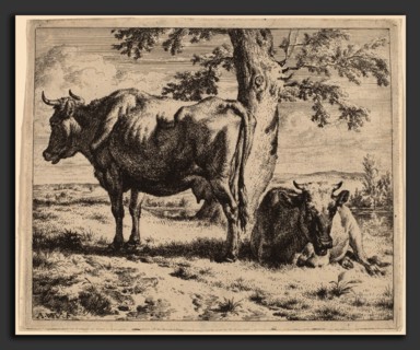 Adriaen van de Velde (Dutch, 1636 - 1672), Two Cows under a Tree, c. 1670, etching