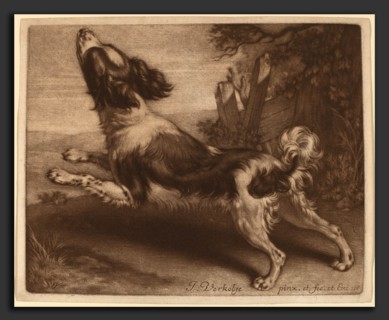 Jan Verkolje I (Dutch, 1650 - 1693), A Spaniel Jumping, 1680, mezzotint on laid paper