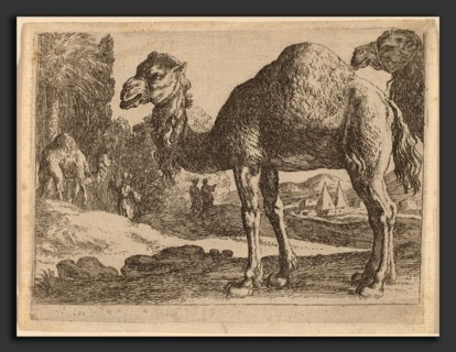Herman van Swanevelt (Dutch, c. 1600 - 1655), Camels, etching