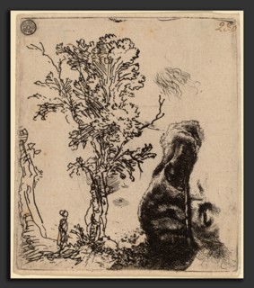 Rembrandt van Rijn (Dutch, 1606 - 1669), Sheet with Two Studies:  a Tree, and the Upper Part of a
