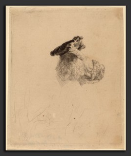 Rembrandt van Rijn (Dutch, 1606 - 1669), Old Man Shading His Eyes with His Hand, c. 1639, etching