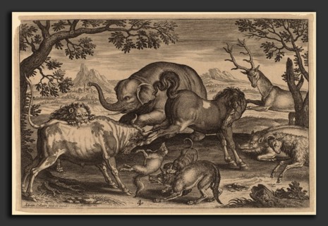 Adriaen Collaert (Flemish, c. 1560 - 1618), Animalium Quadrupedum, engraving